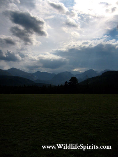Click Picture to send as an  E-PostCard 64k 412x550